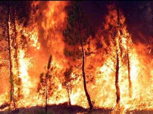 Due serate formative a Cividale sugli incendi boschivi