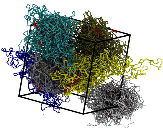 DNA: come azzeccarne il garbuglio