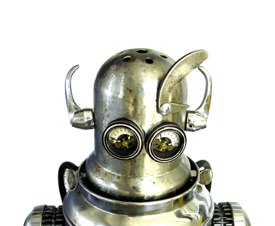 We, robot