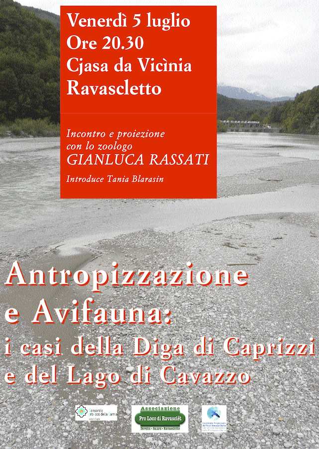 Antropizzazione: i casi della Diga di Caprizzi e del Lago di Cavazzo