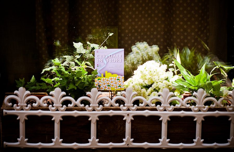Cividale: Balcone, Giardino fiorito e Vetrina in fiore