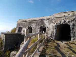 Porte-Aperte-al-Forte-nr15