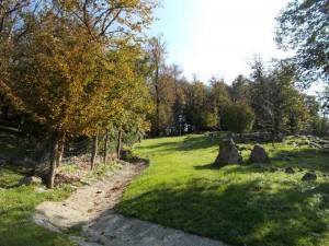 Uno scorcio dei sessanta ettari: magia del bosco a Clastra.