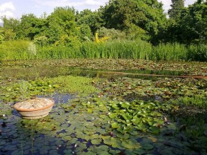 Giardino-Viatori-biel lant