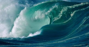 Tsunami virus