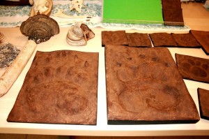 Giornata ecologica al “Villaggio degli orsi” con Comune di Pulfero (UD) e Legambiente