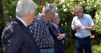Storia e botanica si intrecciano al “Giardino del Chiostro” di Cividale