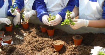 Le fattorie didattiche e sociali: un nuovo modo di vivere l’agricoltura