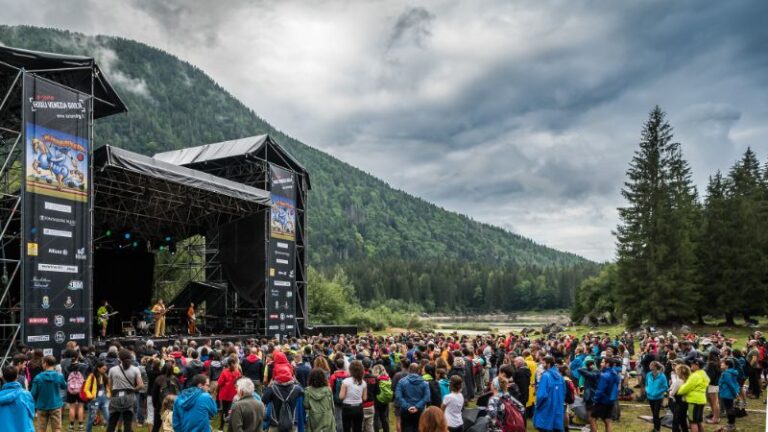 asafavidan_fusine_noborders