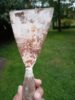 IMG-20251012-WA0007