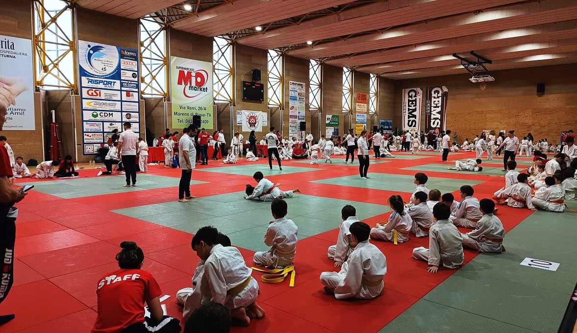 Judo_3